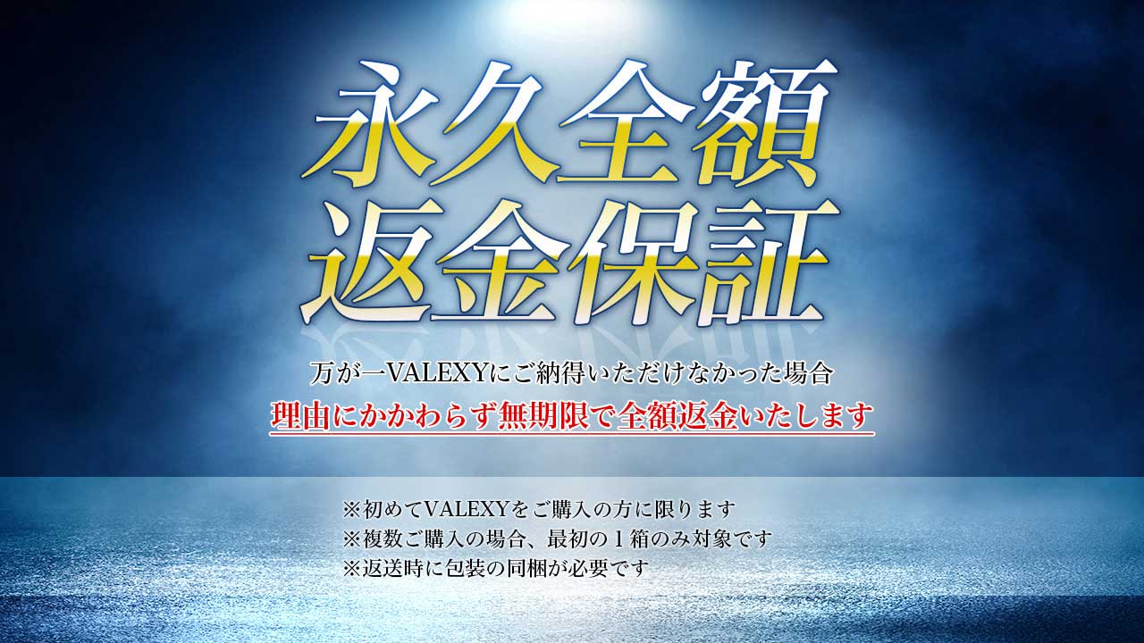 永久全額返金保証